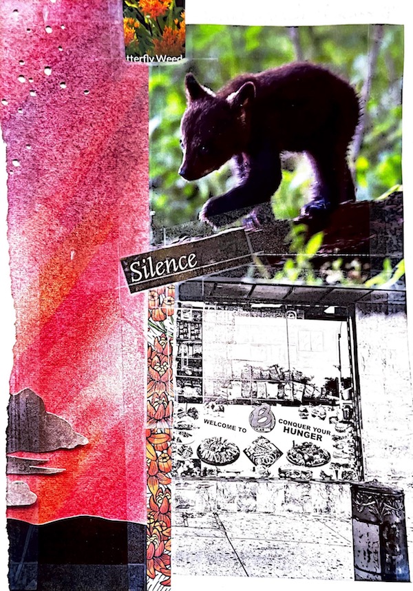 collage with bear cub, a NYC deli storefront, clouds, and the word "silence"